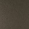 Tints 20522